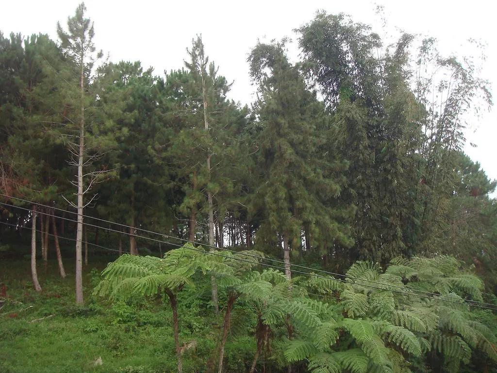 Eden Meadows Vacation Home Davao City 필리핀