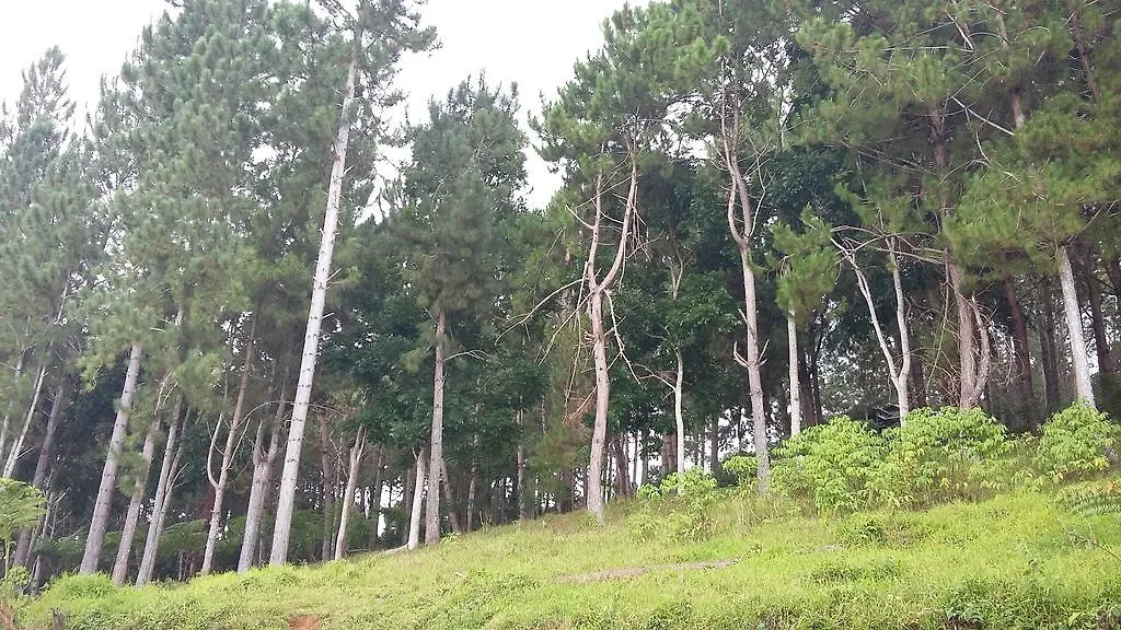 Eden Meadows Vacation Home Davao City